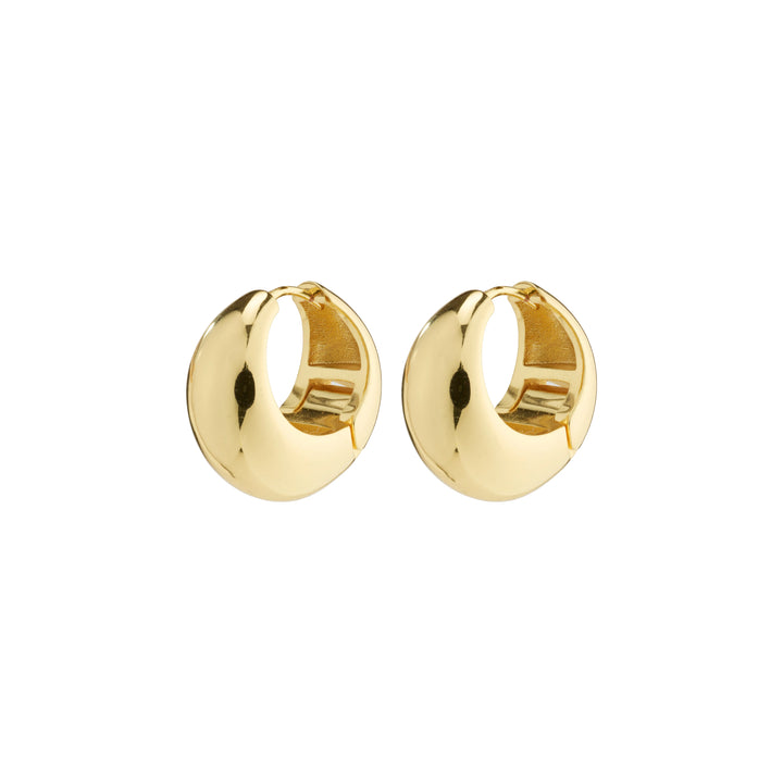 Ionna Chunky Hoops