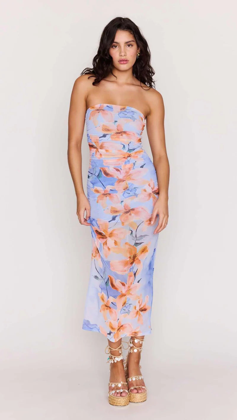 Sunspell Mesh Midi Dress