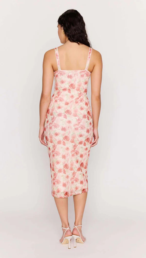 Camille Mesh Bustier Dress