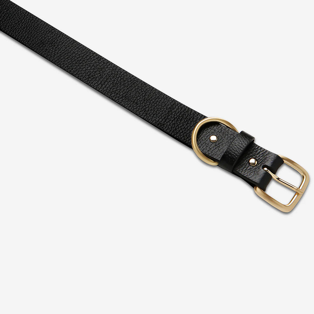 Disarm Belt