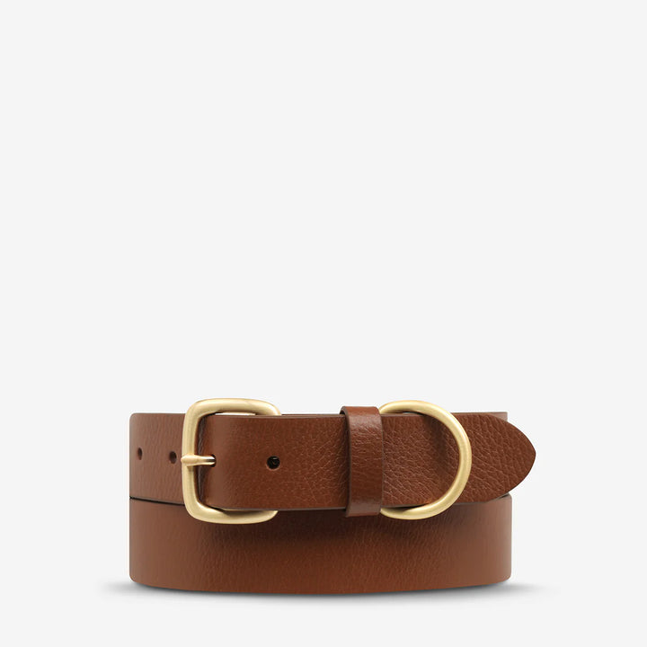 Disarm Belt